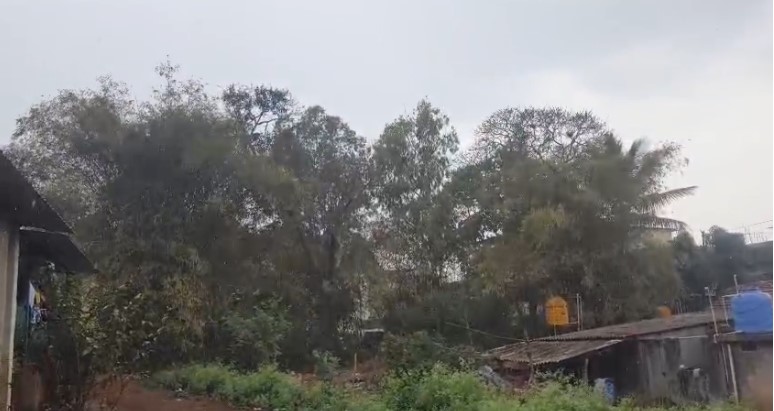 Heavy rains are expected today